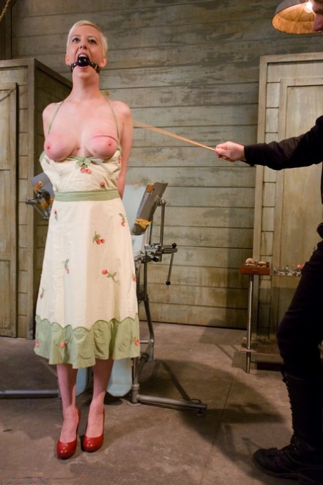 The Training Of O starring Cherry Torn, Maestro Hot Porn