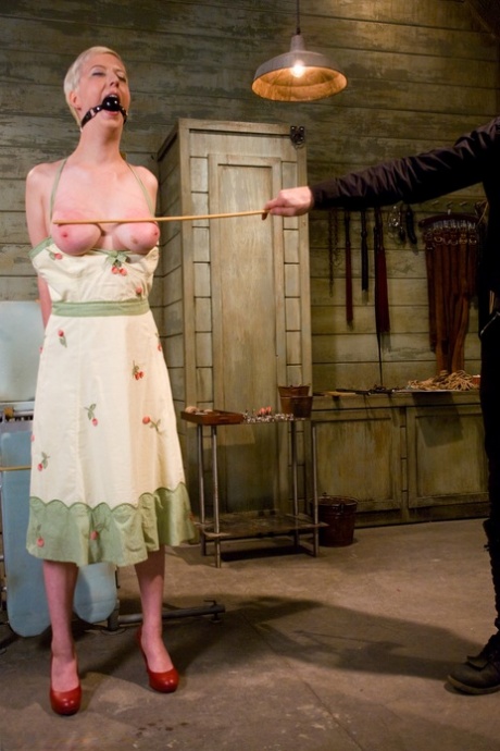 The Training Of O starring Cherry Torn, Maestro Hot Porn