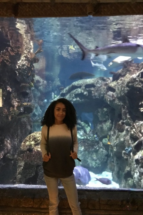 Curly haired ebony girlfriend Ariana Aimes strips & exposes her black curves